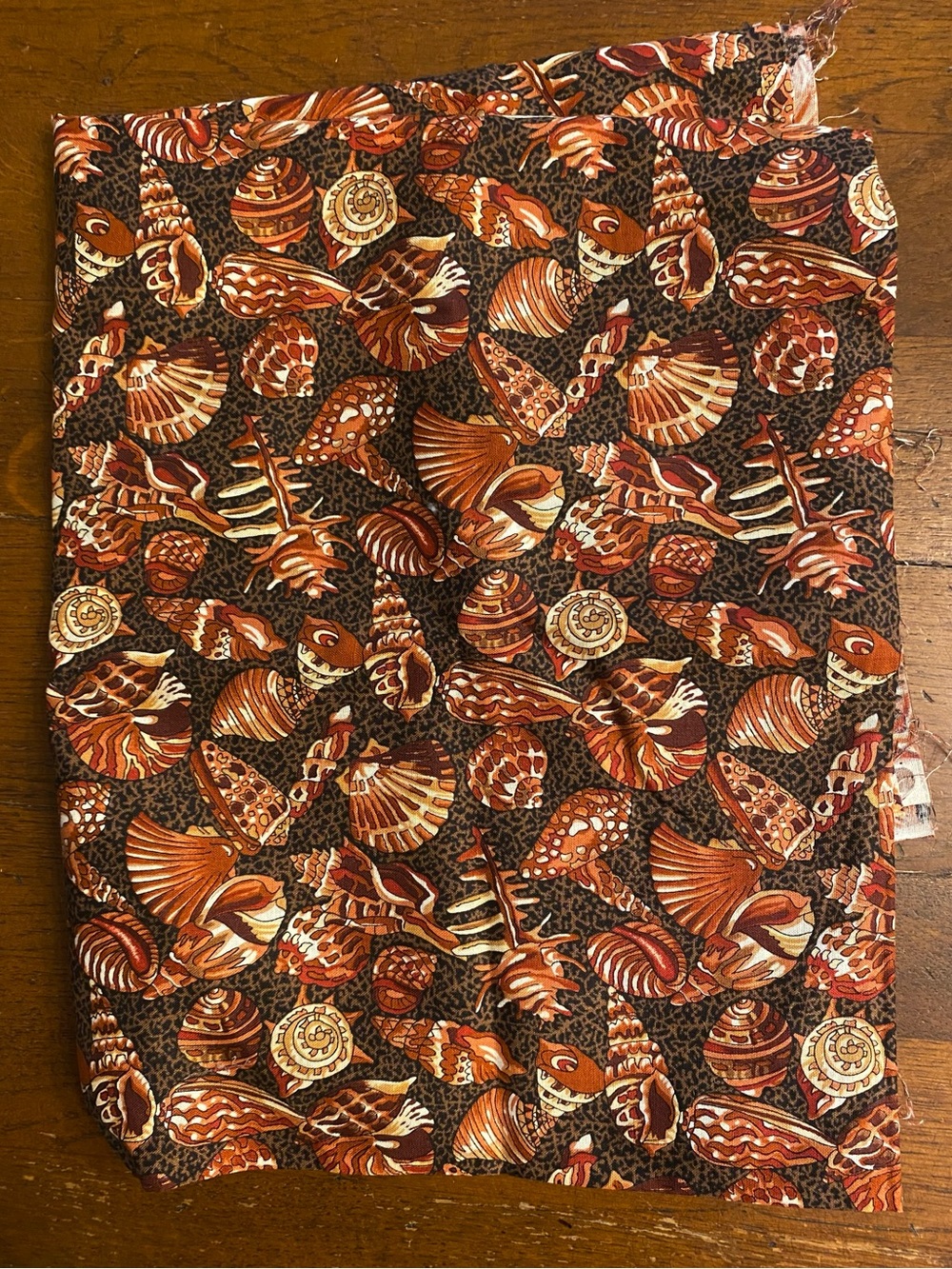 The Paradise Reef collection by Hoffman International Brown Seashells 1 Yard
